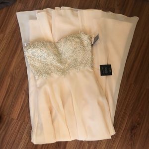 Blush Lulu Strapless Dress